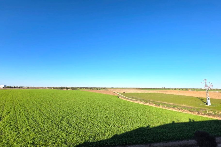 Espectacular dúplex en Cabañas de Yepes