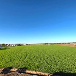 Espectacular dúplex en Cabañas de Yepes